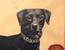 Elliott - Folk Art